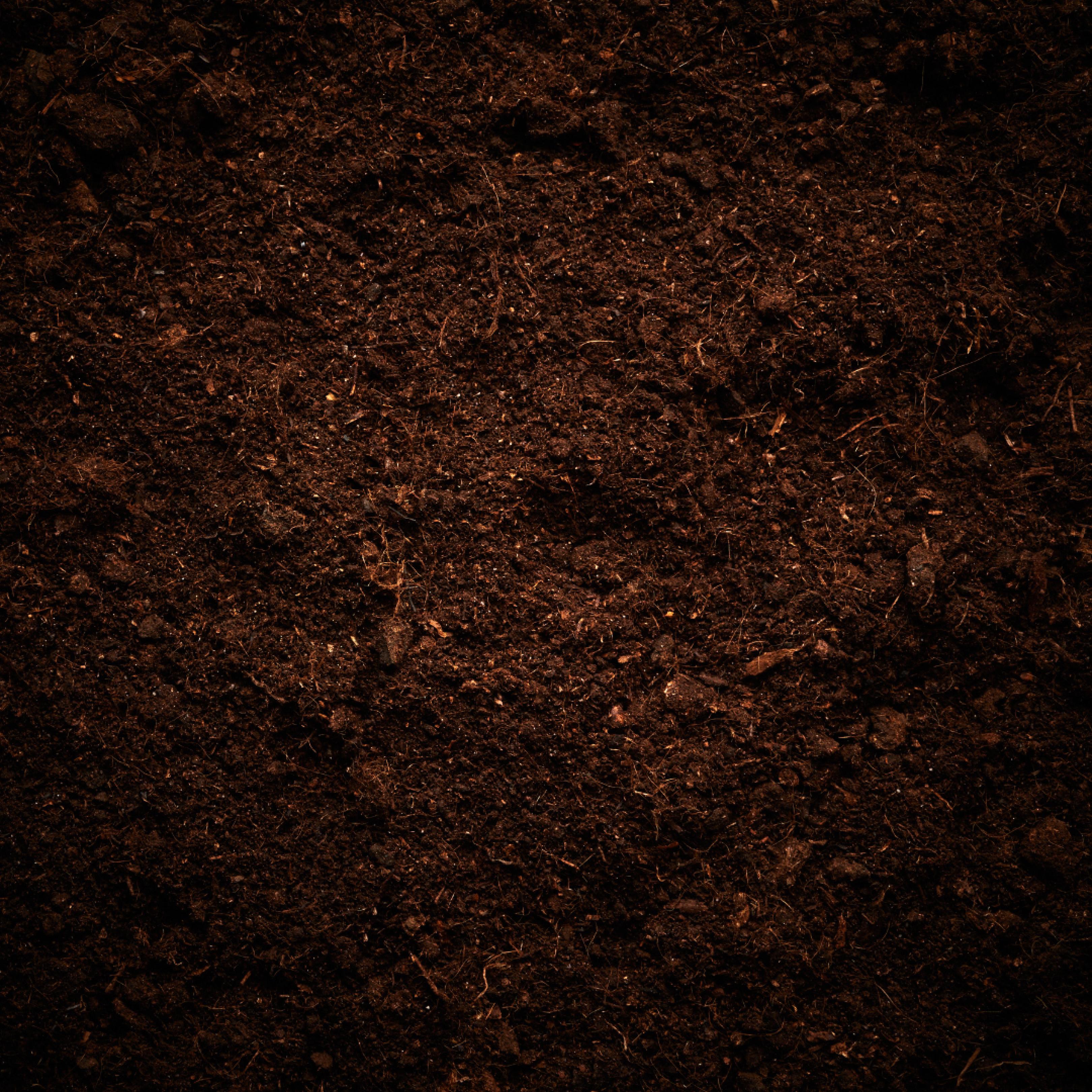 Soil