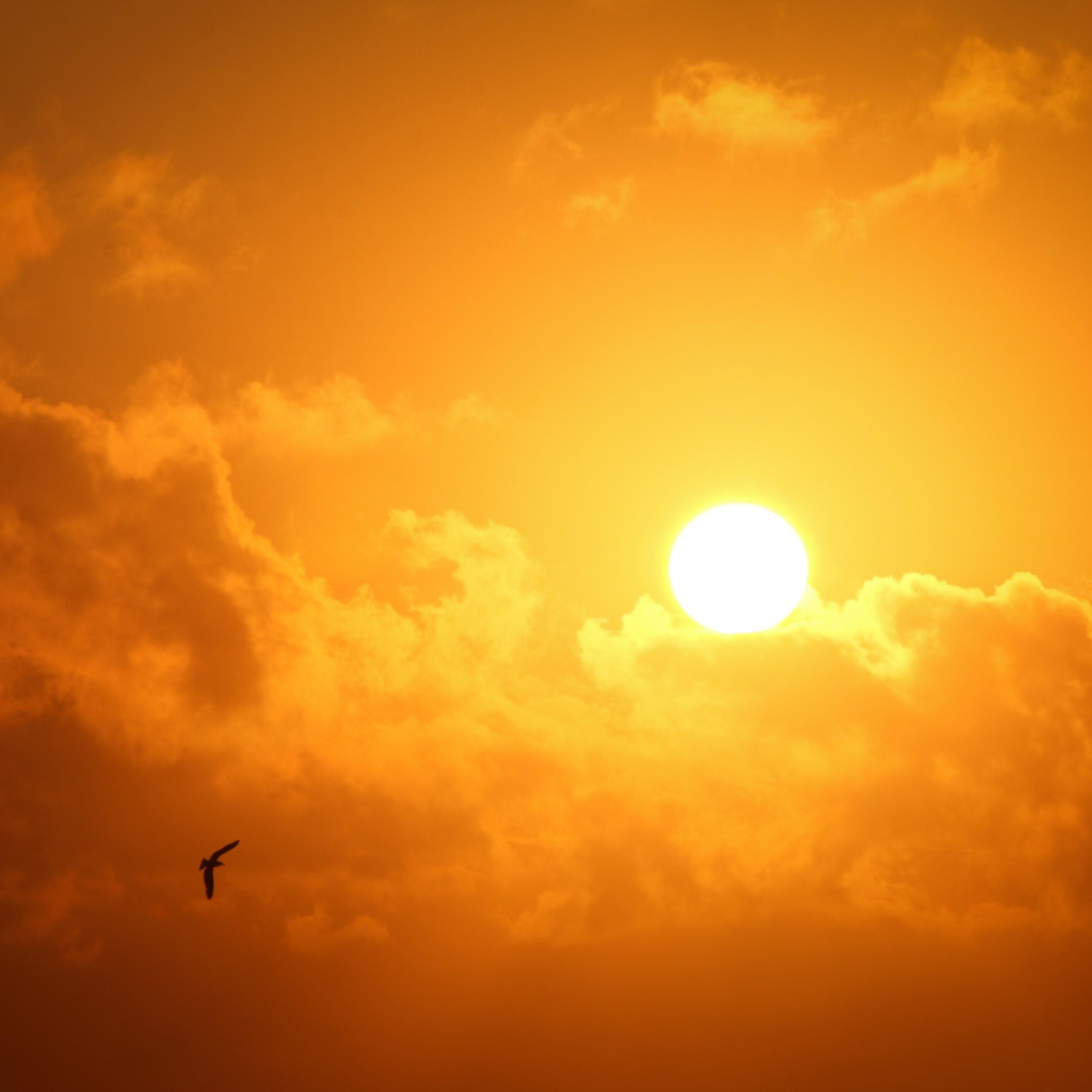 Sun