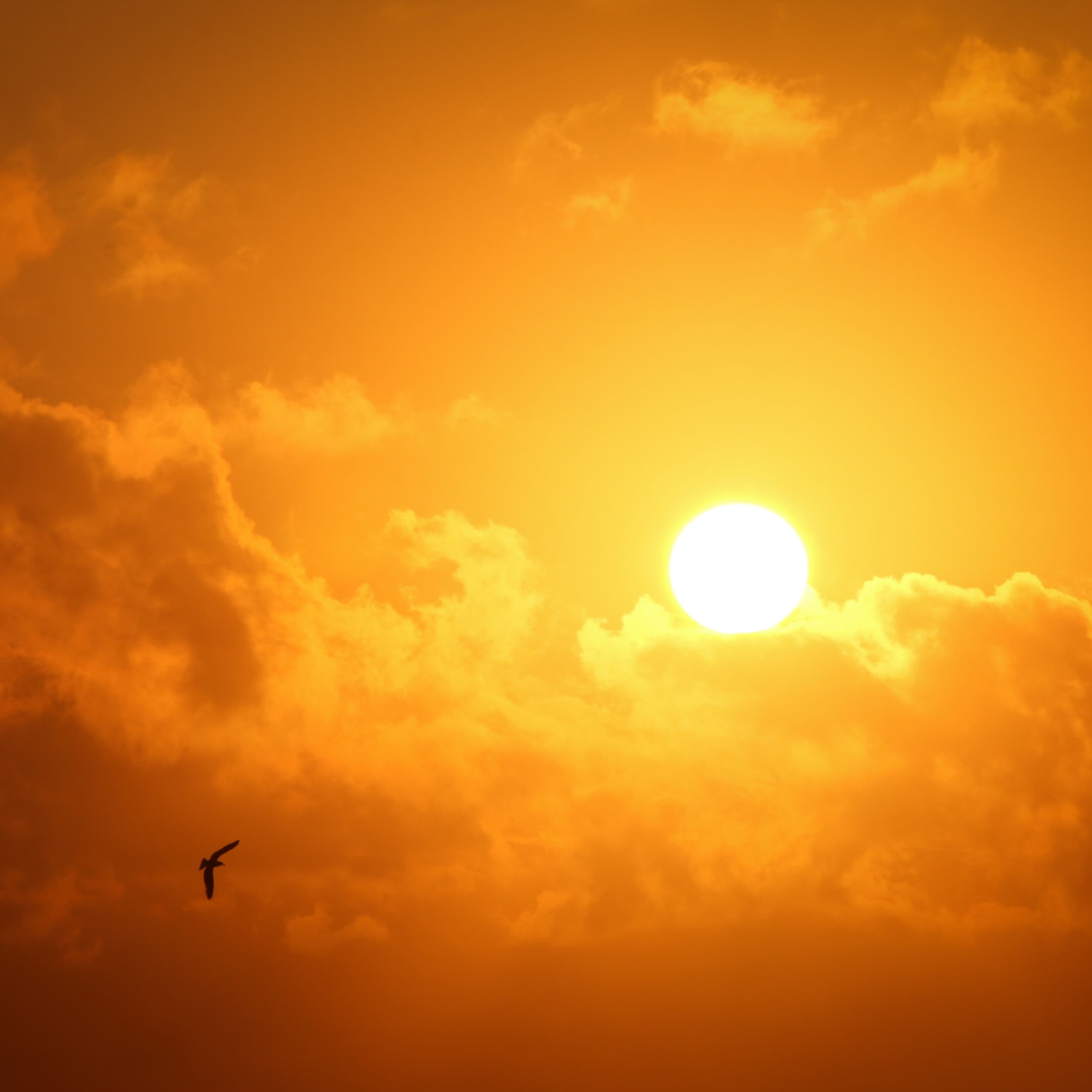 Sun